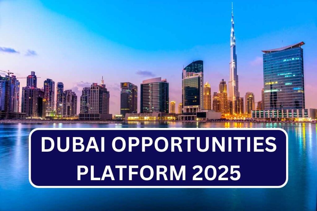 Dubai Opportunities Platform 2025, Know Features & How To Use